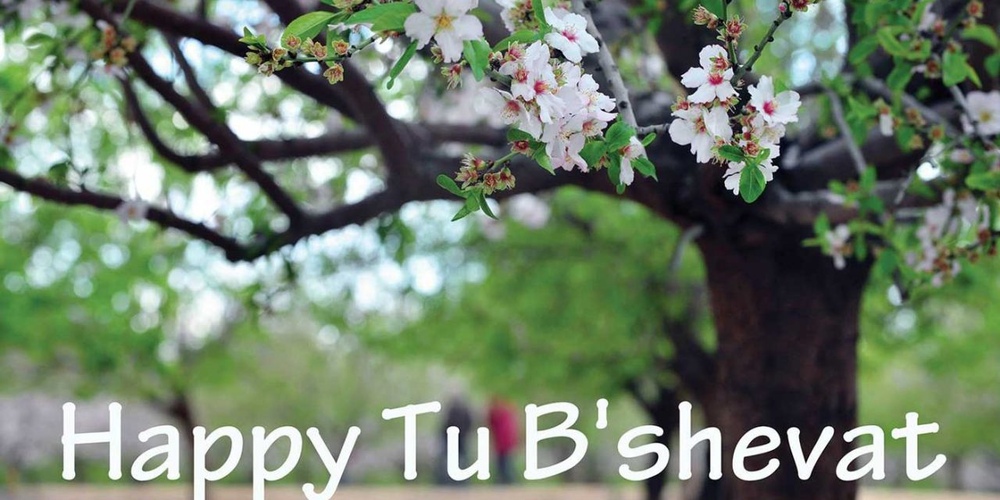 Tu B'Shevat Is The New Year For Trees - Heritage Florida Jewish News